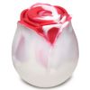 The Rose Lover's Gift Box Bloomgasm