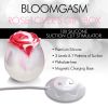 The Rose Lover's Gift Box Bloomgasm